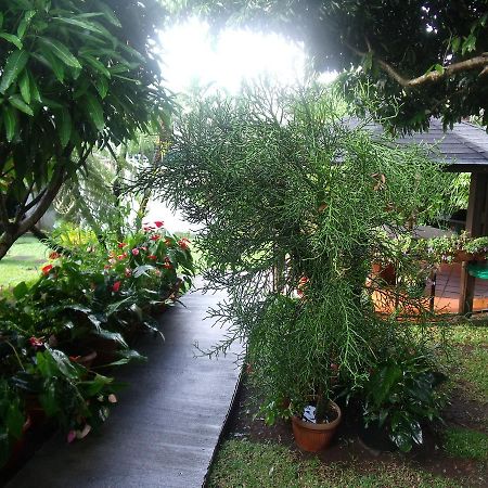 Les Agapanthes Villa เลอ ตอมปง ภายนอก รูปภาพ