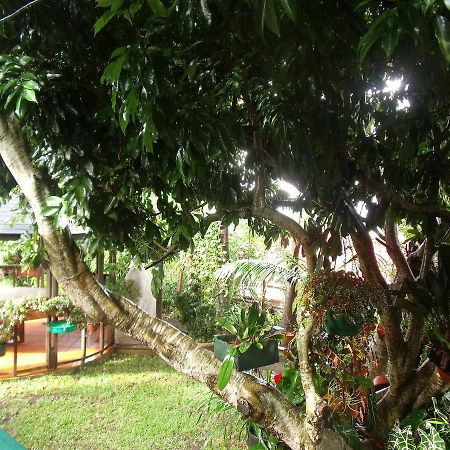 Les Agapanthes Villa เลอ ตอมปง ภายนอก รูปภาพ