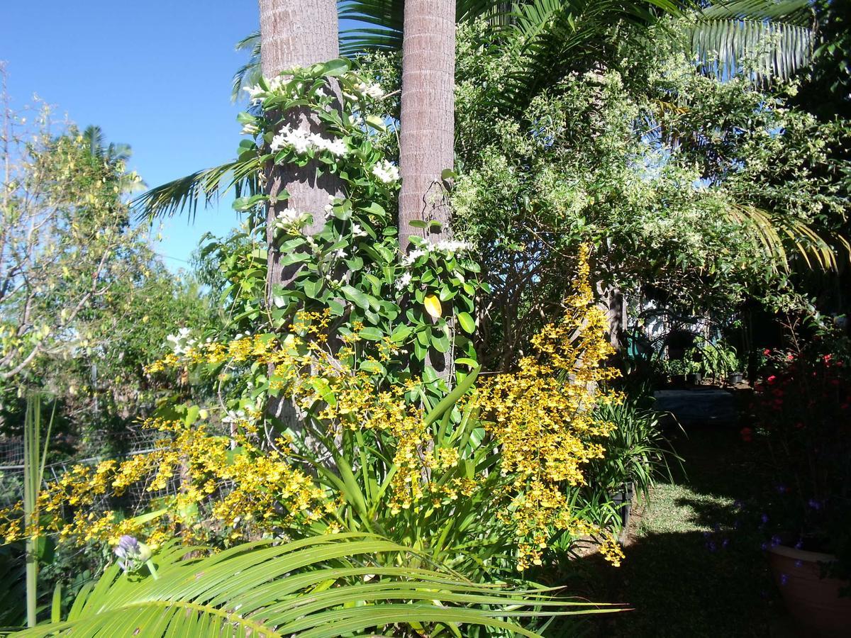 Les Agapanthes Villa เลอ ตอมปง ภายนอก รูปภาพ