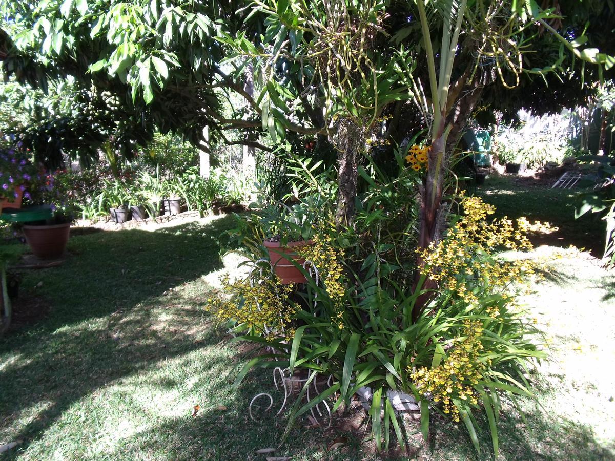 Les Agapanthes Villa เลอ ตอมปง ภายนอก รูปภาพ