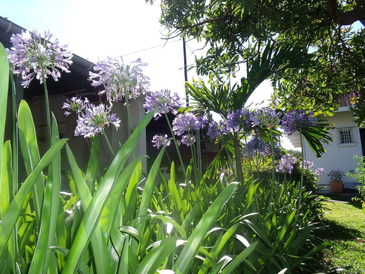 Les Agapanthes Villa เลอ ตอมปง ภายนอก รูปภาพ