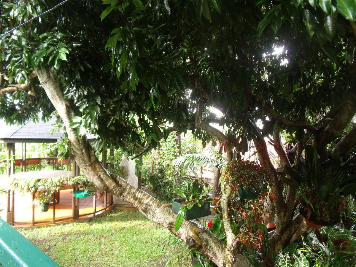 Les Agapanthes Villa เลอ ตอมปง ภายนอก รูปภาพ
