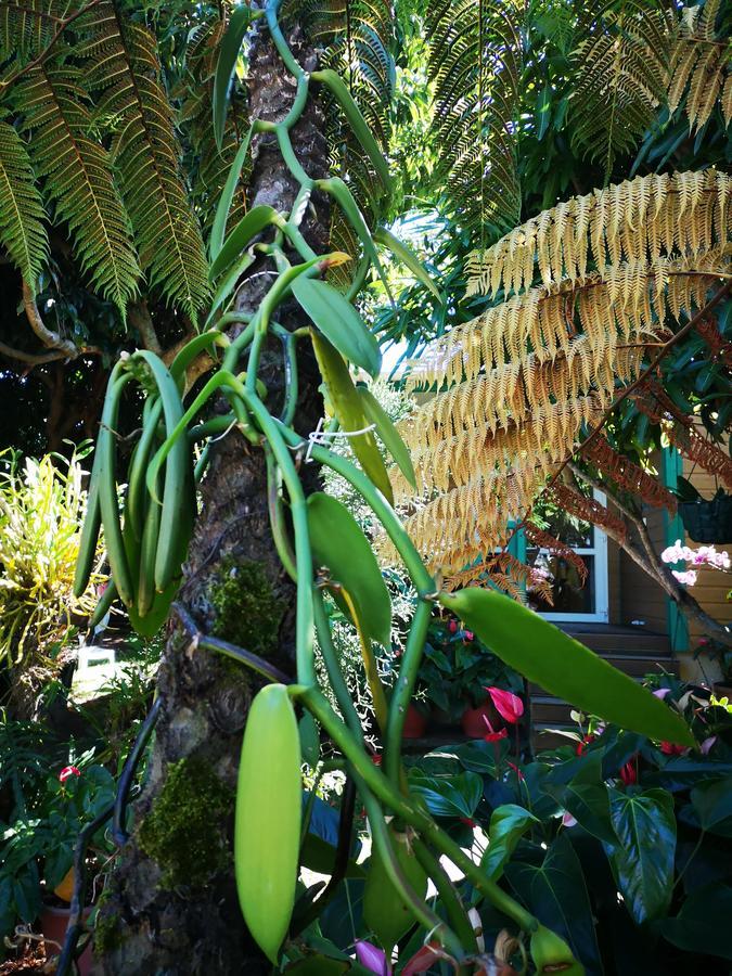 Les Agapanthes Villa เลอ ตอมปง ภายนอก รูปภาพ