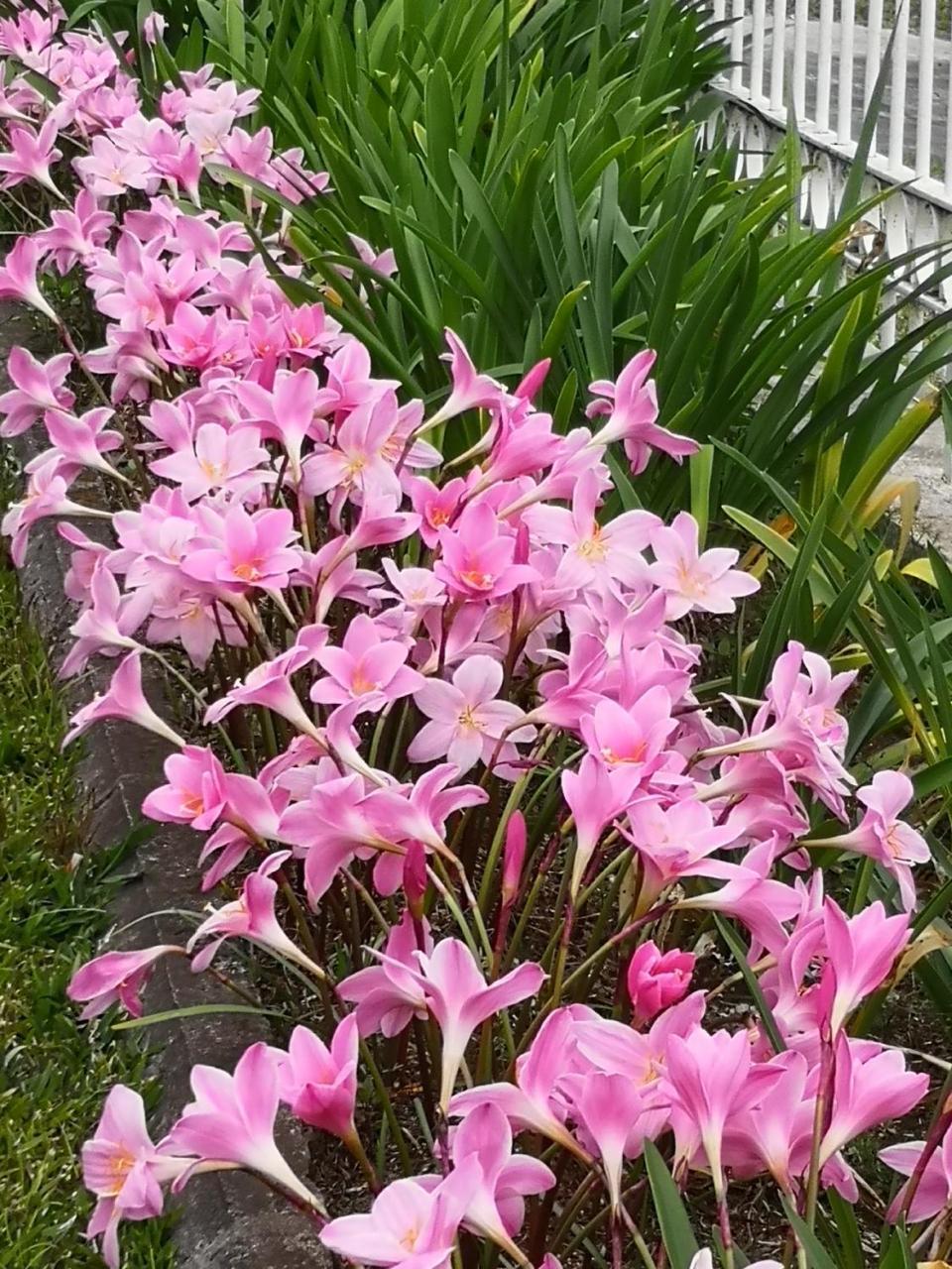 Les Agapanthes Villa เลอ ตอมปง ภายนอก รูปภาพ
